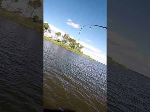Поролон та Ексцентрик #shorts #топ #шортс #рибалка