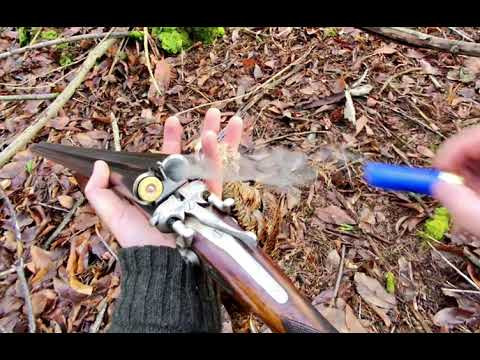 Вальдшнеп и ТОЗ-63