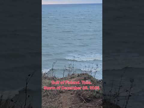 Gulf of Finland. Toila. Storm of December 28, 2025.