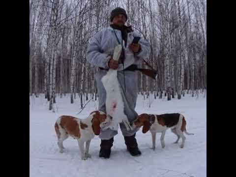 Охотник 54 RUS. в прямом эфире!