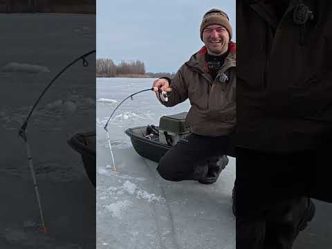 Зглаз САЗАНА  #рибалка  #короп  #сазан
