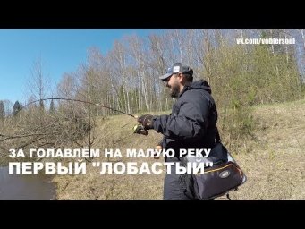 Ловля Голавля в Мае. Спиннинг Весной. Кренки, вертушки...Рыбалка 2018