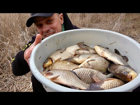 Відкриття сезону на карася: найкраща прикормка для холодної води! Рибалка на кормачки відкрита!