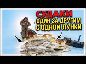 СУДАКИ ОДИН ЗА ДРУГИМ С ОДНОЙ ЛУНКИ! МЕТЕЛЬ, БАНЯ И БЕШЕНЫЙ КЛЁВ СУДАКА В АКТУШИ