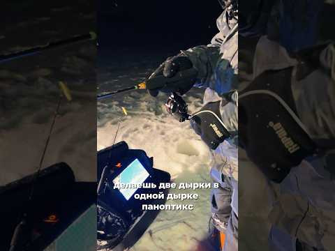 Андрей Питерцов ➕ ДВЕ ЛУНКИ 