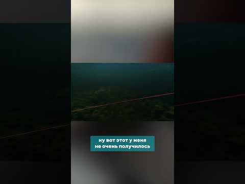 "В тебя бы гарпун не полетел!"