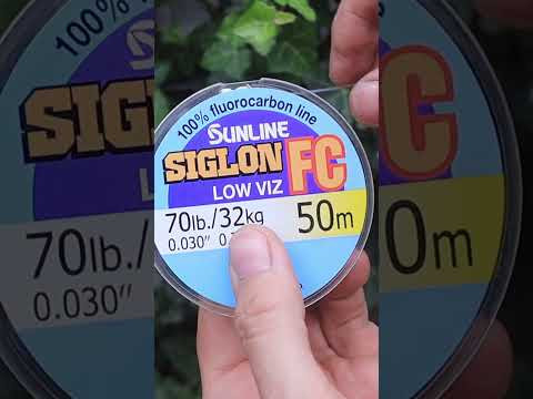 Best Catfish Rig for Big River Beasts! Best Catfish Rig for Big River Beasts!