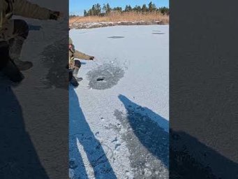 Тягали з двох рук #shorts #рибалка #сазан