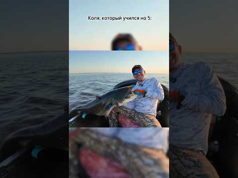 Главное – МЕДУЗНОСТЬ!) Зачет по ловле больших сомов сдан на отлично! #снастиздрасьте Главное – МЕДУЗНОСТЬ!) Зачет по ловле больших сомов сдан на отлично! #снастиздрасьте