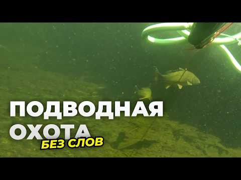 Подводная охота на реке Или. ПОЛНЫЙ РЕЛАКС без монтажа и комментариев Подводная охота на реке Или. ПОЛНЫЙ РЕЛАКС без монтажа и комментариев