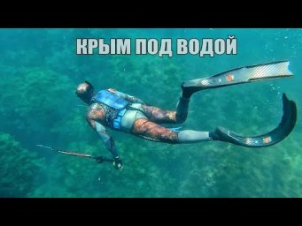 Подводная охота 2025 КРЫМ. Горбыль, Кефаль, Крабы, черное море.