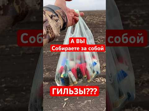 Гильзы убираете за собой?  #охота #охотник #охотанагуся #охота2024