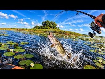 ЩУКА ВИЛЕТІЛА З ВОДИ! Такої СВІЧКИ я не очікував | Рибалка на щуку
