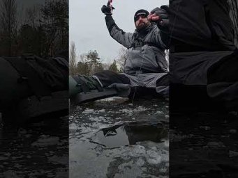 Оце КАДР... ТОРБАРІАН #shorts #рибалка #трофей
