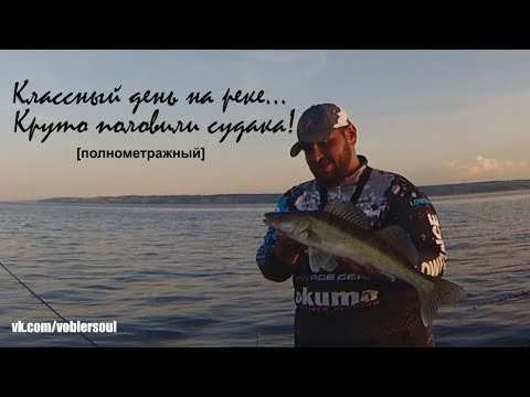 Вот это рыбалка! Круто половили судака! Джиг на Волге. Видео отчет июль 2017.