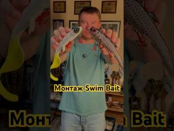Монтаж Swim Bait