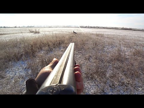 ПЕРВЫЙ СНЕГ! ОХОТА НА ЗАЙЦА. ДВА ДНЯ НА ОХОТЕ. ТРОПЛЕНИЕ ЗАЙЦА. ОХОТА С СОБАКОЙ. ПЕРВЫЙ СНЕГ! ОХОТА НА ЗАЙЦА. ДВА ДНЯ НА ОХОТЕ. ТРОПЛЕНИЕ ЗАЙЦА. ОХОТА С СОБАКОЙ.