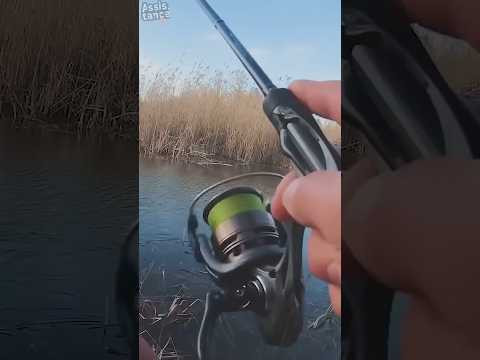ТЫ так МОЖЕШЬ? #assistancetv #fishing #рыбалка #щука #окунь #окуньнаспининг #щуканаспиннинг ТЫ так МОЖЕШЬ? #assistancetv #fishing #рыбалка #щука #окунь #окуньнаспининг #щуканаспиннинг