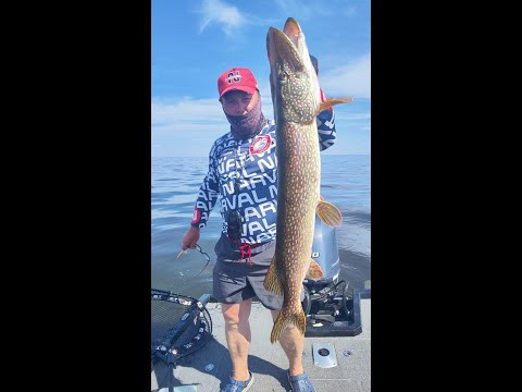 Cкоро новое видео !!! Трофейная рыбалка с Гидом на Рыбинском водохранилище .