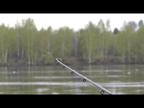Рыбалка ПОВЕРИТЬ НЕ МОГУ, КЛЮЕТ ВСЯ РЫБА Сазан, Лещ, Плотва, Густера. Ловля на фидер на реке Волга. Рыбалка ПОВЕРИТЬ НЕ МОГУ, КЛЮЕТ ВСЯ РЫБА Сазан, Лещ, Плотва, Густера. Ловля на фидер на реке Волга.