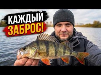 ОКУНИ С КАЖДОГО ЗАБРОСА. РЫБАЛКА В ГОРОДЕ ОСЕНЬЮ