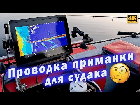 Проводка приманки для пелагического судака. Рыбалка с Panoptix Livescope Проводка приманки для пелагического судака. Рыбалка с Panoptix Livescope