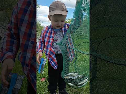 Улов Матвія #serginio #спінінг #десна #fishing Улов Матвія #serginio #спінінг #десна #fishing