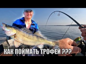 КАК ЛОВИТЬ ТРОФЕЙНОГО СУДАКА? Ловля Крупного Судака на Спиннинг. Летняя рыбалка 2025.