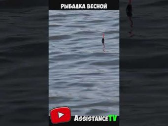 ОКУНЯ ДУПЛЕТОМ на ПОПЛАВОК ВЕСНОЙ