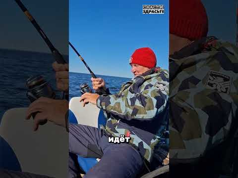 Трофейный СОМ на предсерийную #porolka до 200г