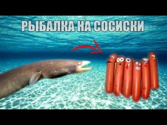 Как Клюет Угорь? Поклевка Угря на Сосиску. Реакция рыбы. Подводная съемка на рыбалке.
