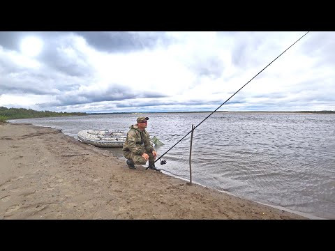 РЫБАЛКА НА ДОНКУ НА БОЛЬШОЙ РЕКЕ. ЛОВЛЯ РЫБЫ НА ПРОСТУЮ ПРИМАНКУ. РЫБАЛКА НА ДОНКУ НА БОЛЬШОЙ РЕКЕ. ЛОВЛЯ РЫБЫ НА ПРОСТУЮ ПРИМАНКУ.