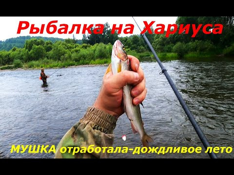 Рыбалка на Хариуса/Мушки темные-Вода мутная/С уловом!