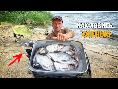 РЫБАЛКА на ФИДЕР в СЕНТЯБРЕ 2024 / КАК НАЛОВИТЬ МНОГО ЛЕЩА ОСЕНЬЮ РЫБАЛКА на ФИДЕР в СЕНТЯБРЕ 2024 / КАК НАЛОВИТЬ МНОГО ЛЕЩА ОСЕНЬЮ