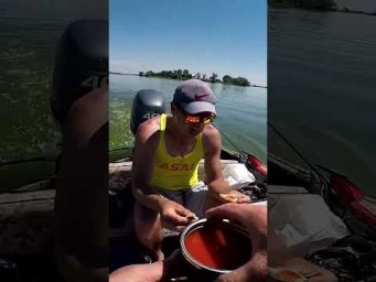 О Це ВОНО  #shorts #судак #Рибалка#Ловлясудак