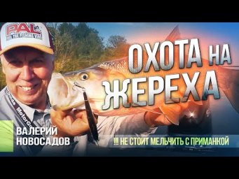 Ловля жереха на воблер: Тактика и Секреты для поимки Крупной Рыбы