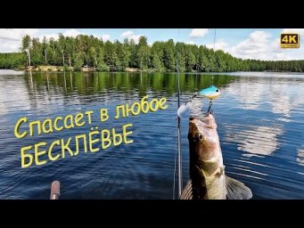 Эта ПРИМАНКА ЛОВИТ в любое БЕСКЛЁВЬЕ