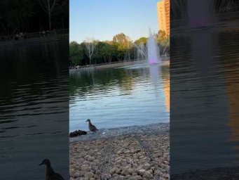 Никому не чужда красота 