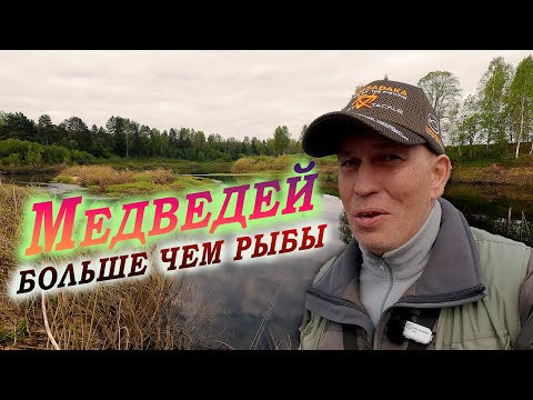 Река Межа - Медведей больше чем рыбы
