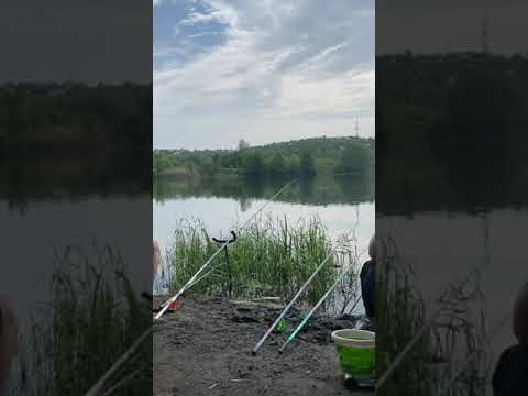 Рыбалка на леща #рыбалкакстово #лещ #плотва #fishing