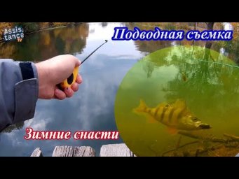На мормышку и живца + подводная съемка. Осень.