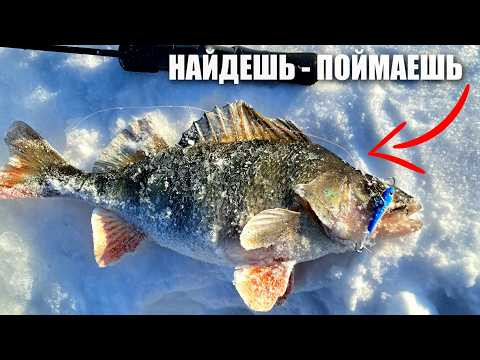 ЗИМНЯЯ РЫБАЛКА НА ОКУНЯ В ГЛУХОЗИМЬЕ. Ловля Окуня на Балансир. Зимняя рыбалка 2026.