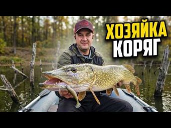 ОБЛИЗАЛ КАЖДУЮ КОРЯГУ! Ловля щуки в подводном лесу