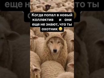 12 декабря 2025 г.
