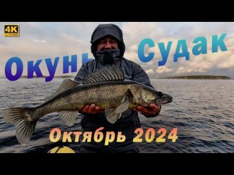 Окунь и Судак в середине октября. Десногорск
