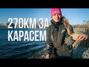 Весенний карась на фидер! Прикормка и насадка которые ловят весной
