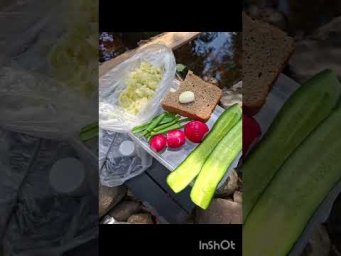 Покатушки на мотоцикле с шашлыком в лесу.