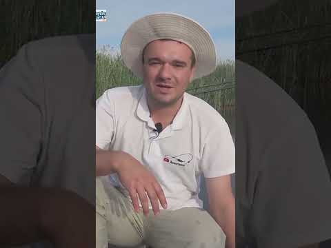 Не берите лишнего, оставте детям #assistancetv #fishing #рыбалканафидер Не берите лишнего, оставте детям #assistancetv #fishing #рыбалканафидер