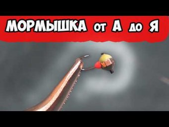 МОРМЫШКА, Какую выбрать?