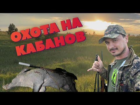 ОХОТА НА КАБАНОВ ОХОТА НА КАБАНОВ